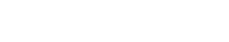 Vipex Logo